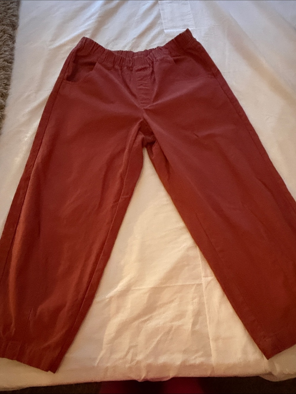 Universal Thread Brick Red Elastic Waist Pants